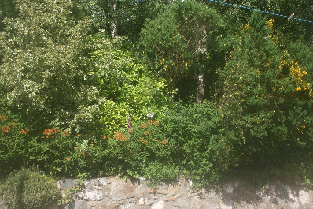 Laragh Mountain View Lodge Saggart Kamer foto