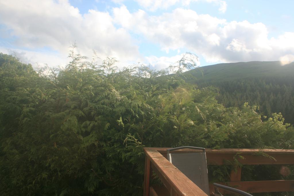Laragh Mountain View Lodge Saggart Kamer foto