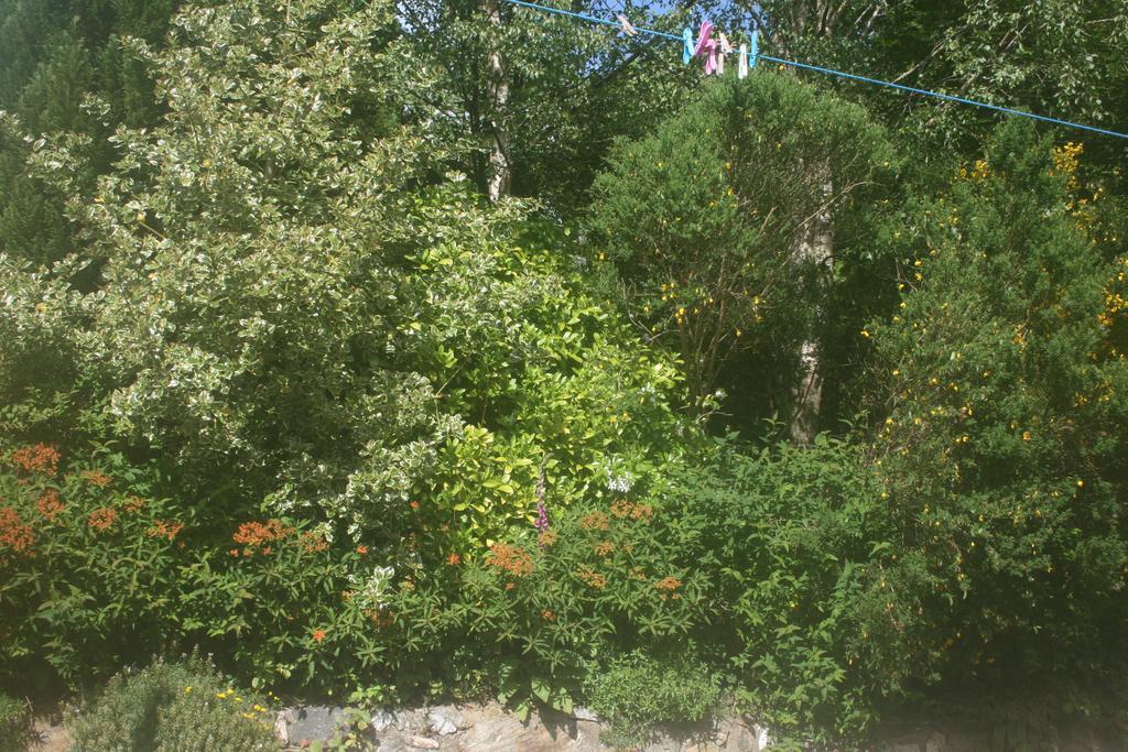 Laragh Mountain View Lodge Saggart Kamer foto