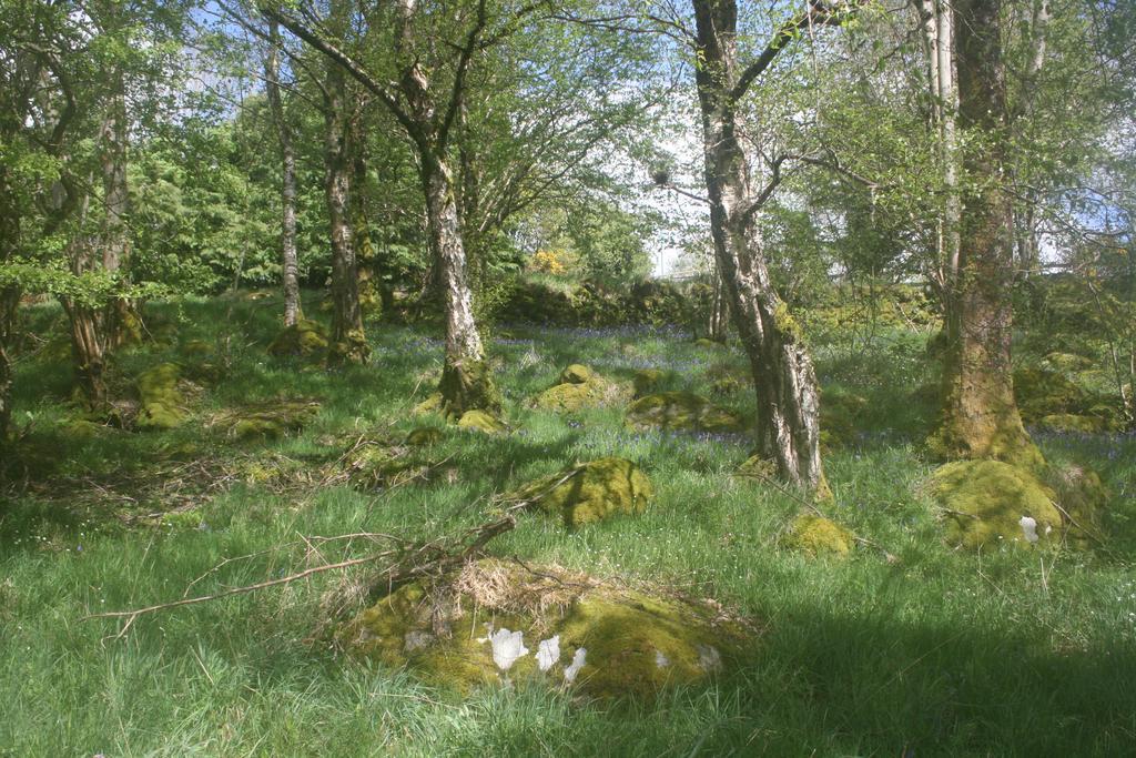 Laragh Mountain View Lodge Saggart Buitenkant foto